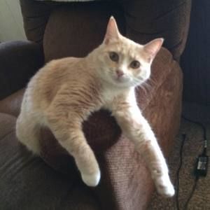 Meet your Posher, Jo